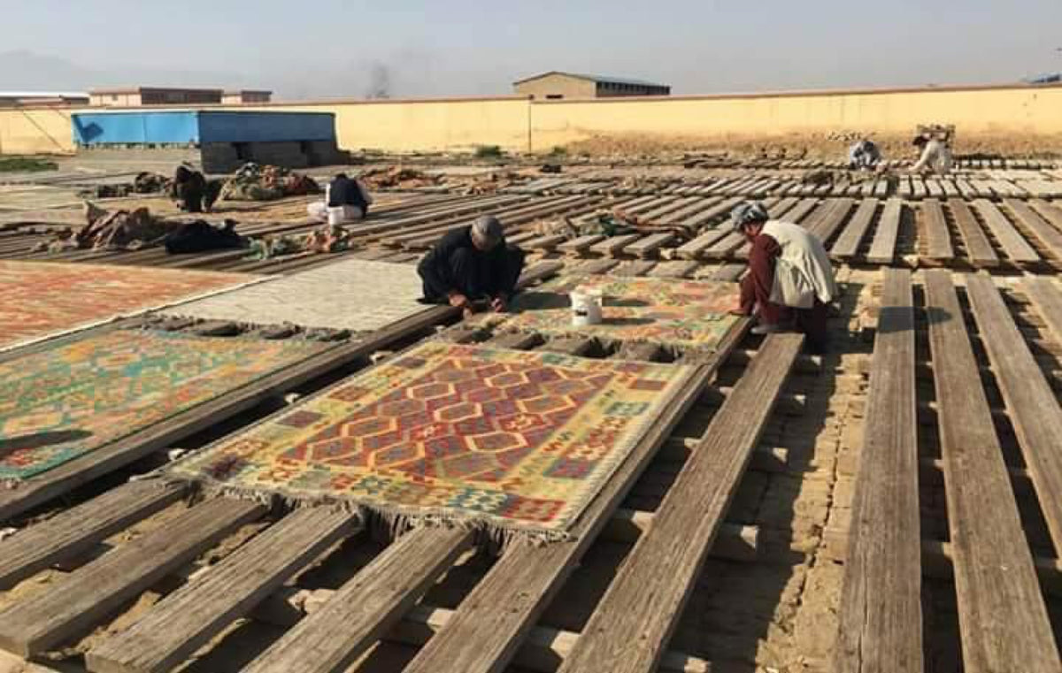 Sun-drying